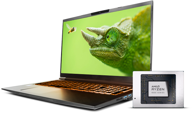 Procesadores amd serie 4000 new arrivals