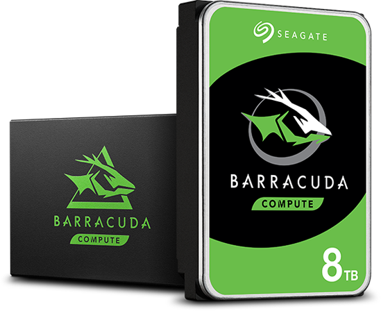 Barracuda