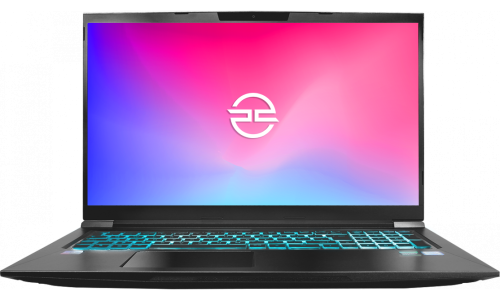 Elimina-Pro-Elite